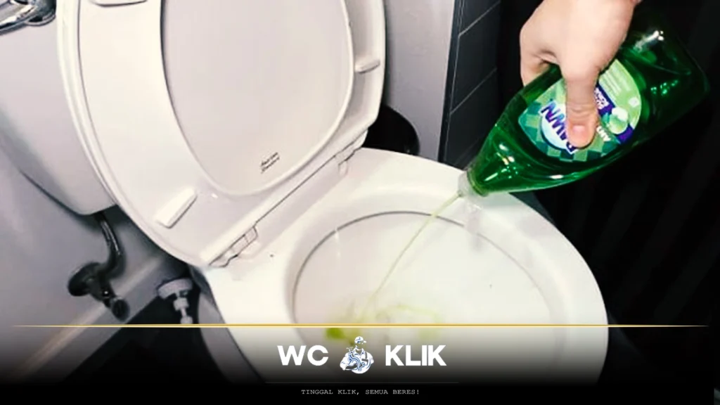 Cara Mengatasi WC Mampet Tanpa Bongkar
